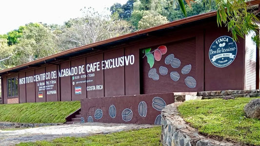 Don Geronimo Coffee Beans - Spezialitätenkaffee aus Costa Rica