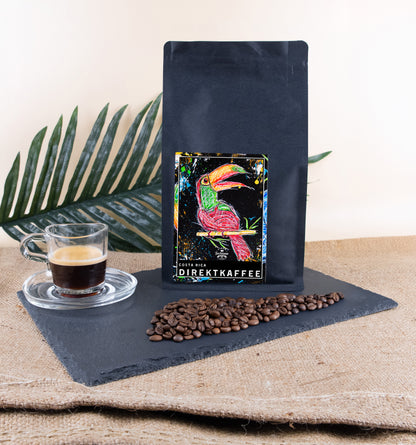 Red Toucan | Whole Bean & Ground Coffee | Dark Roast